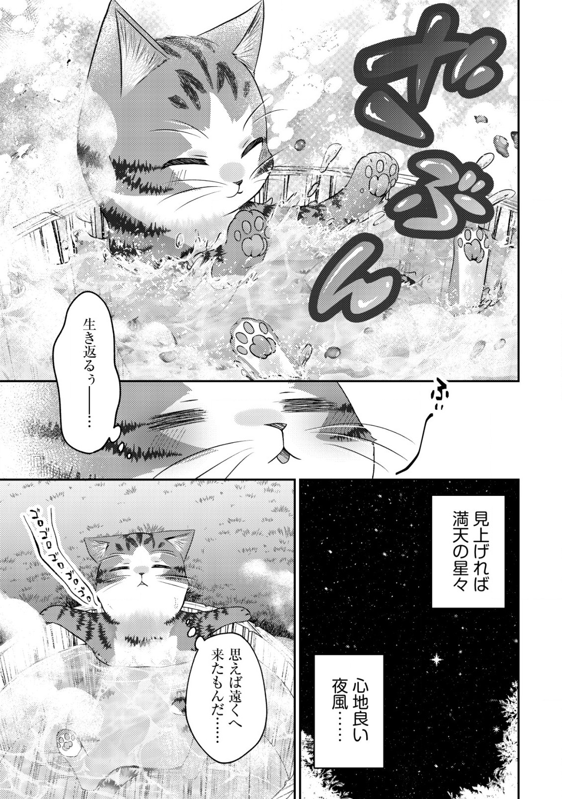 我輩は猫魔導師である～キジトラ・ルークの快適チート猫生活～ 第8.2話 - Page 6