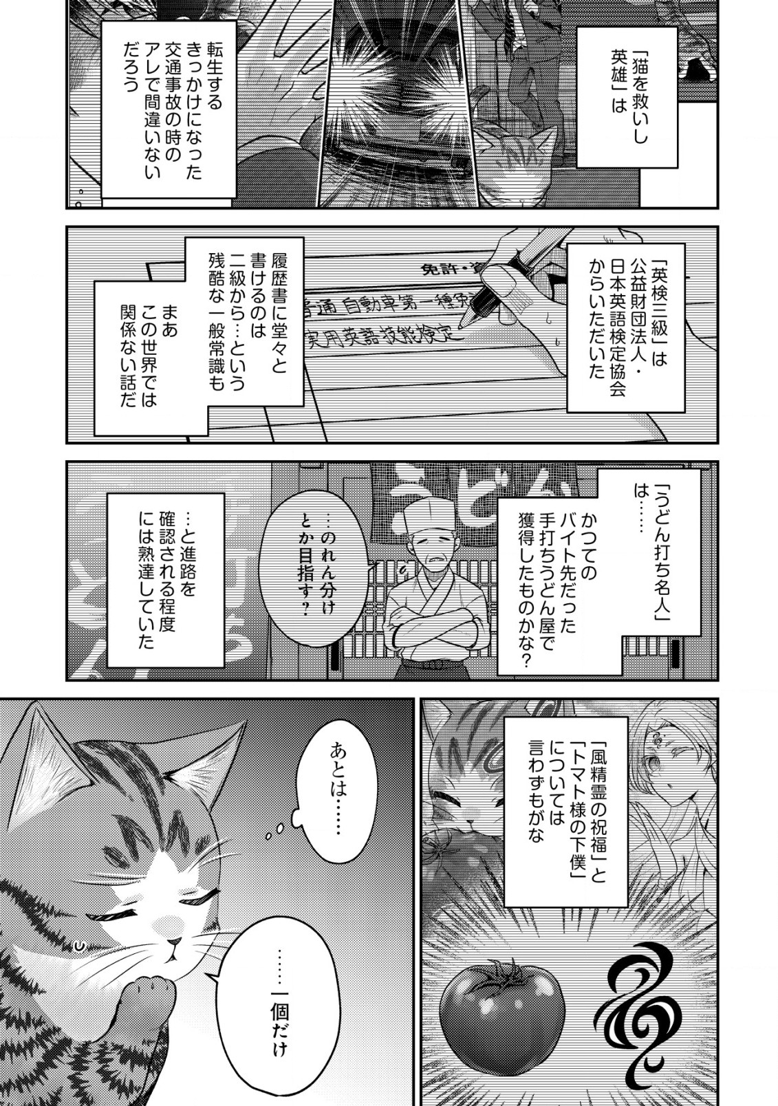 我輩は猫魔導師である～キジトラ・ルークの快適チート猫生活～ 第9.2話 - Page 8