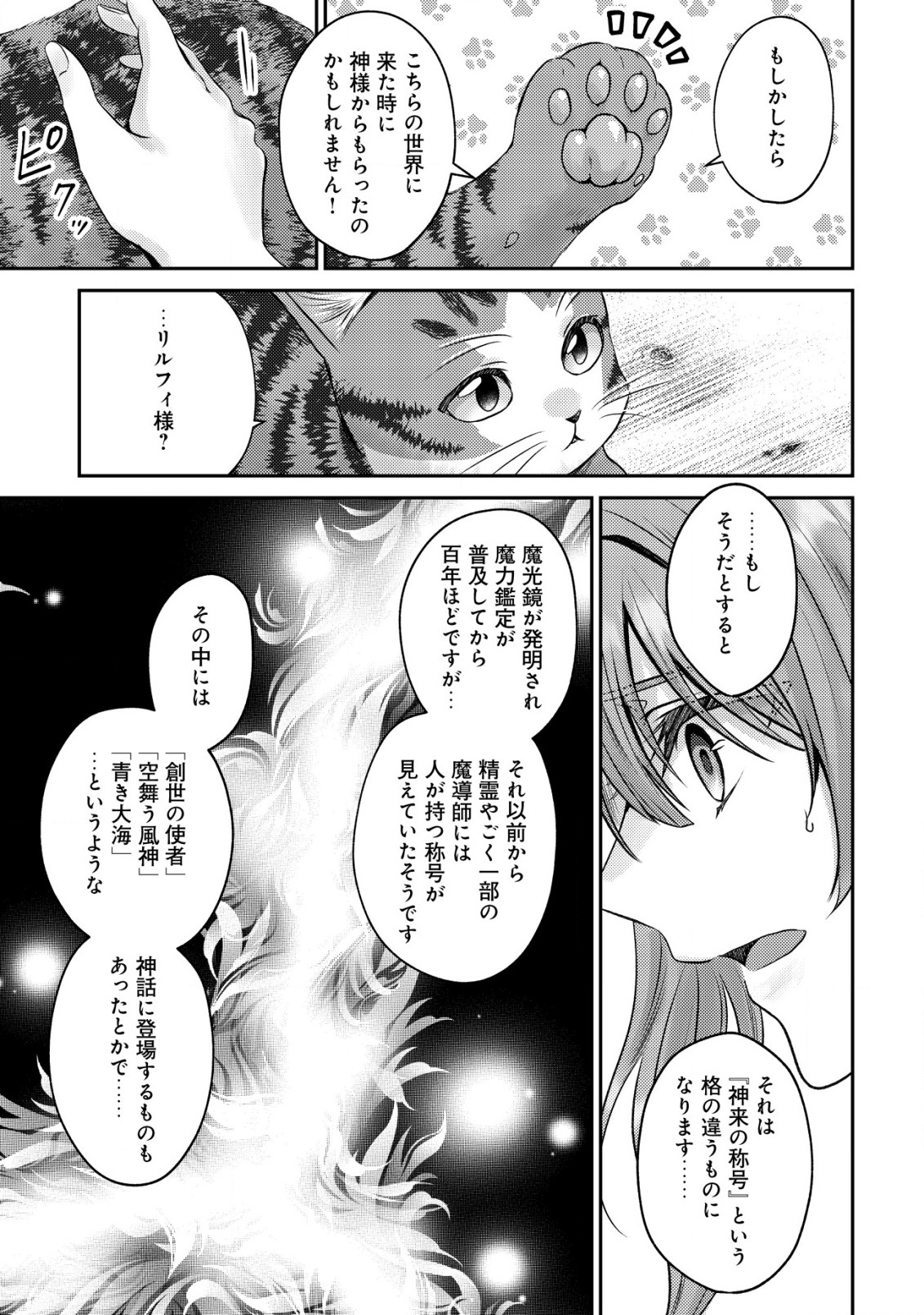 我輩は猫魔導師である～キジトラ・ルークの快適チート猫生活～ 第9.2話 - Page 10