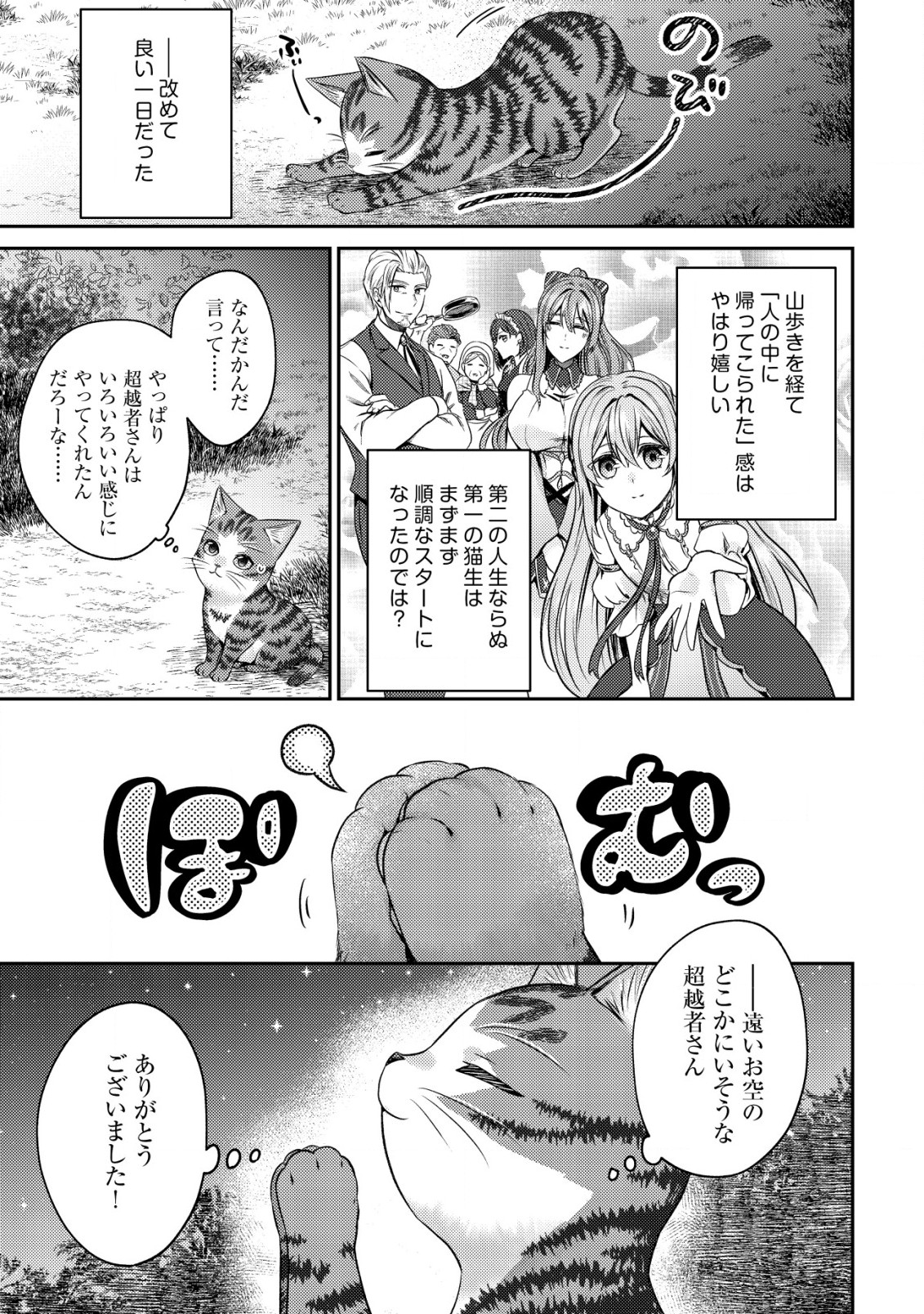 我輩は猫魔導師である～キジトラ・ルークの快適チート猫生活～ 第9.2話 - Page 12