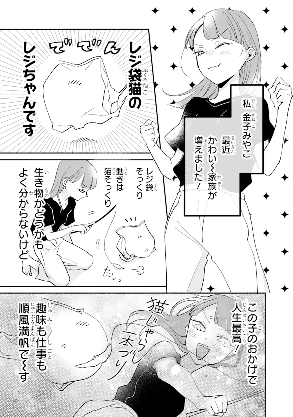 私のかわいいレジ袋ねこ 第2.1話 - Page 2