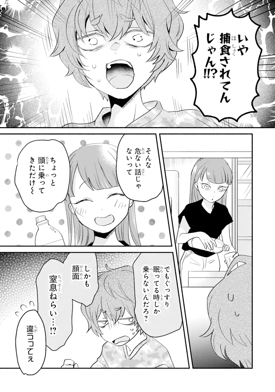 私のかわいいレジ袋ねこ 第4.1話 - Page 4