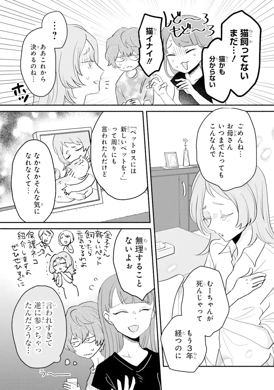 私のかわいいレジ袋ねこ 第4.1話 - Page 7