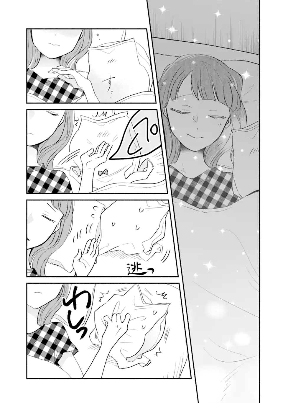 私のかわいいレジ袋ねこ 第4.2話 - Page 11