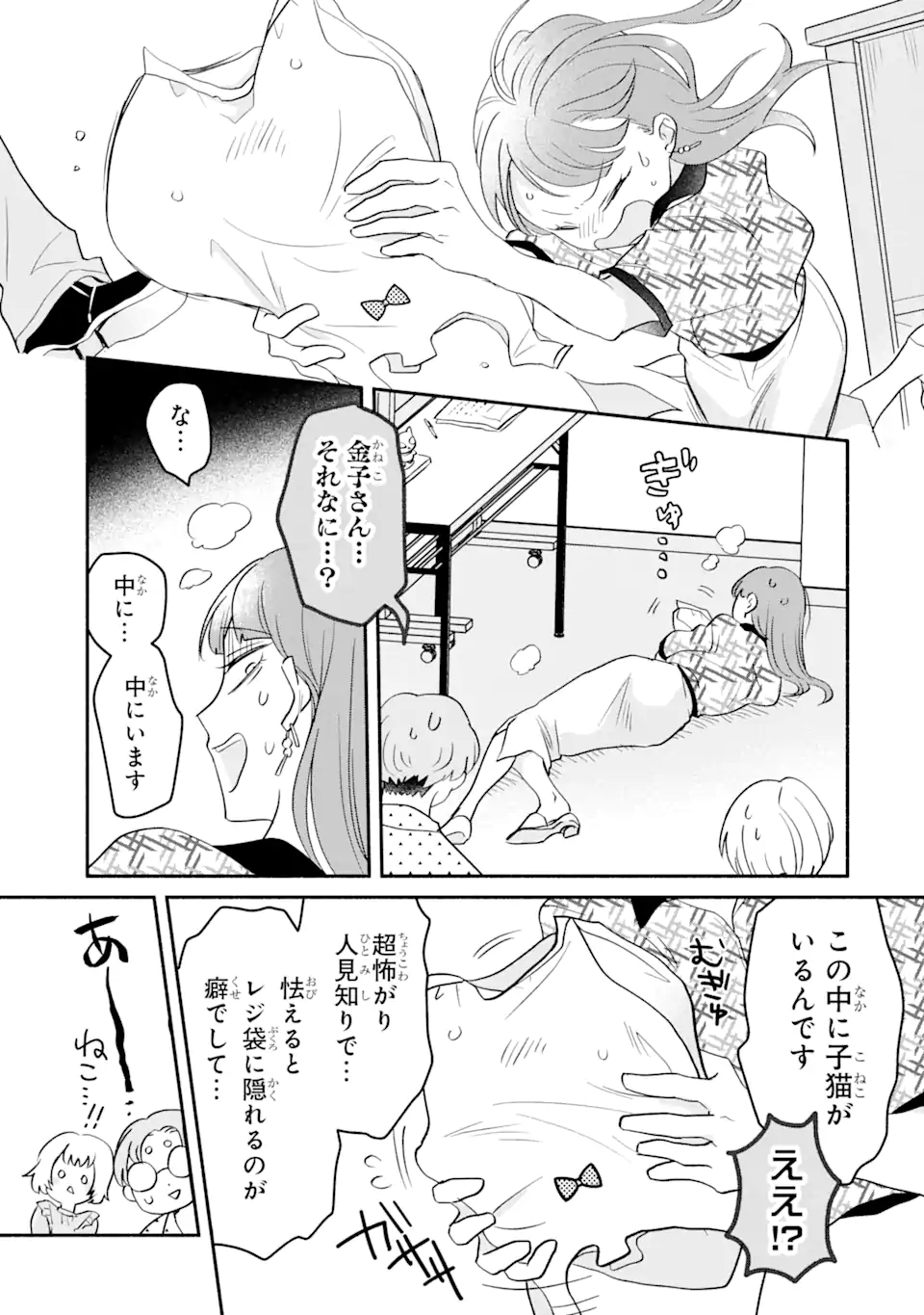 私のかわいいレジ袋ねこ 第5.1話 - Page 12