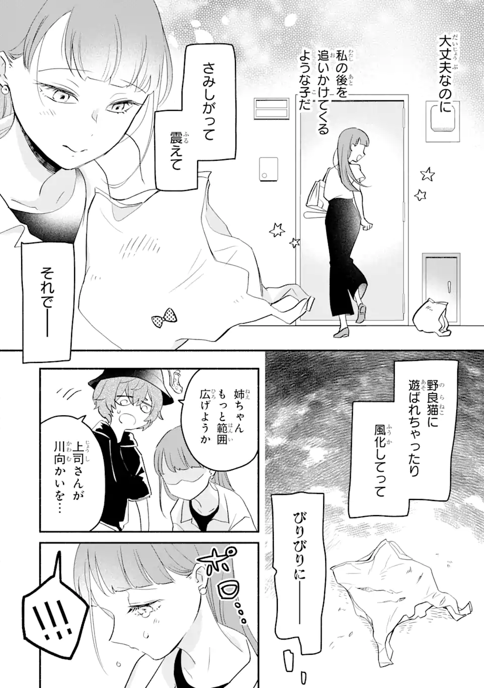 私のかわいいレジ袋ねこ 第6.2話 - Page 6