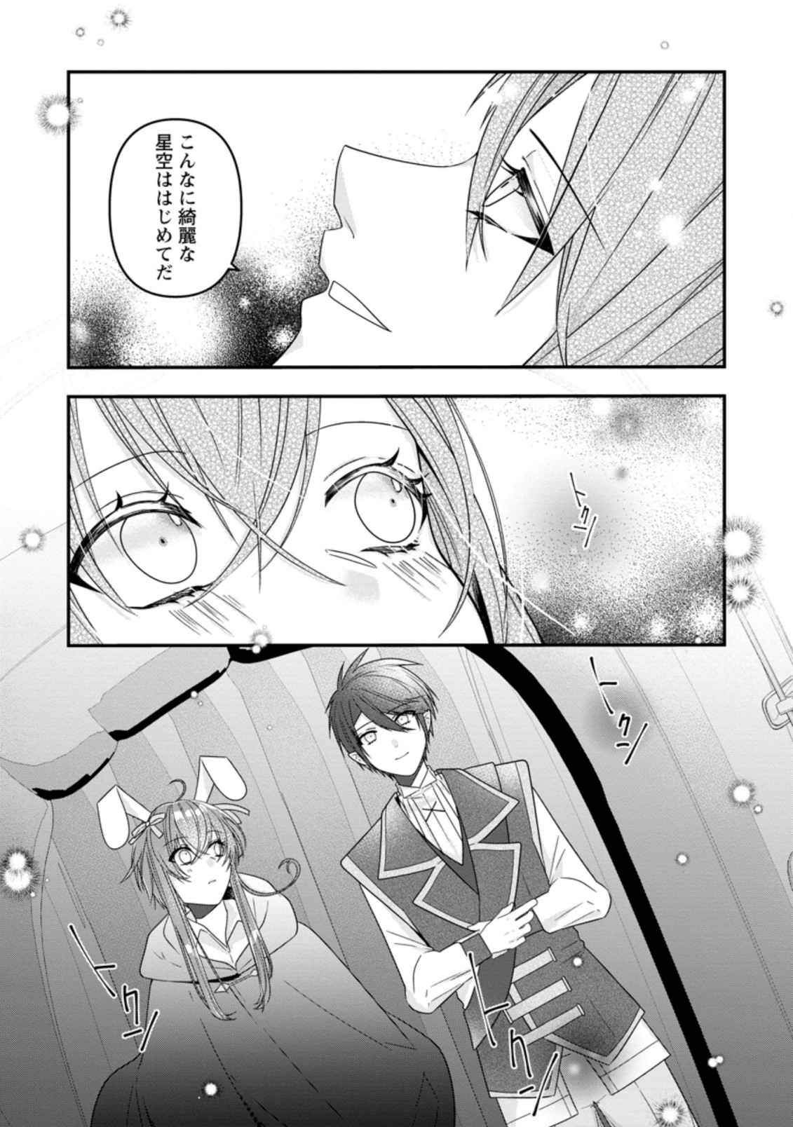 わたし、聖女じゃありませんから 第10.2話 - Page 2