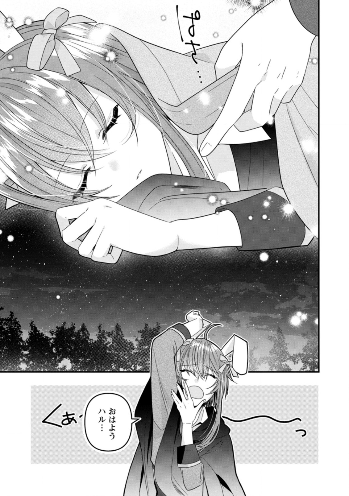 わたし、聖女じゃありませんから 第10.2話 - Page 8