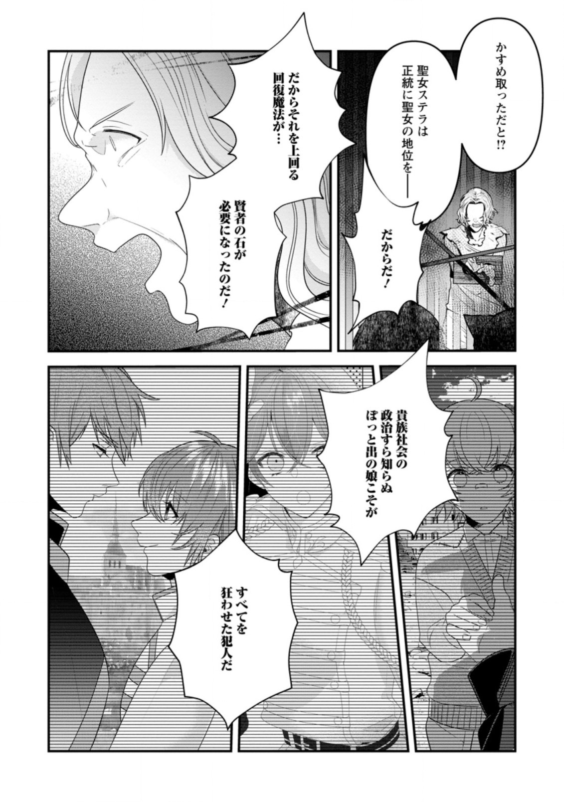 わたし、聖女じゃありませんから 第17.1話 - Page 4