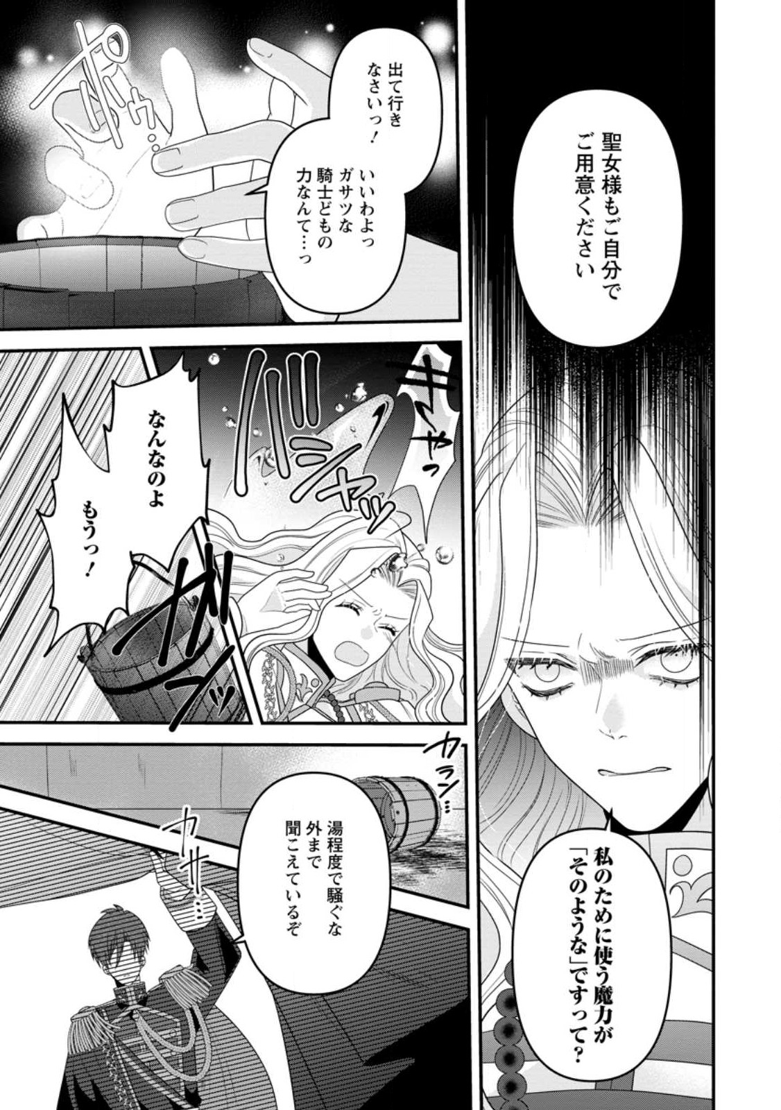 わたし、聖女じゃありませんから 第19.1話 - Page 3