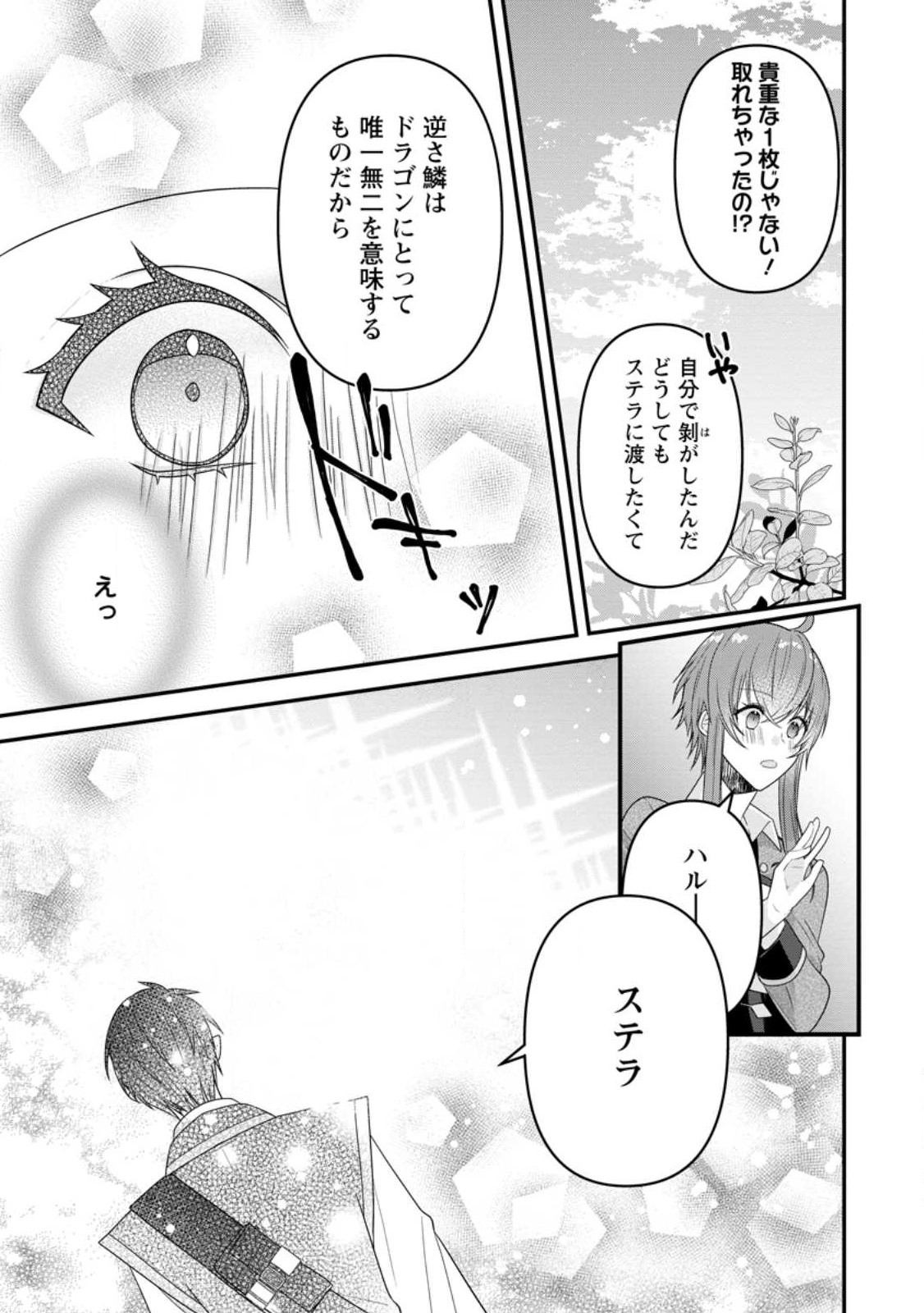 わたし、聖女じゃありませんから 第21.3話 - Page 5