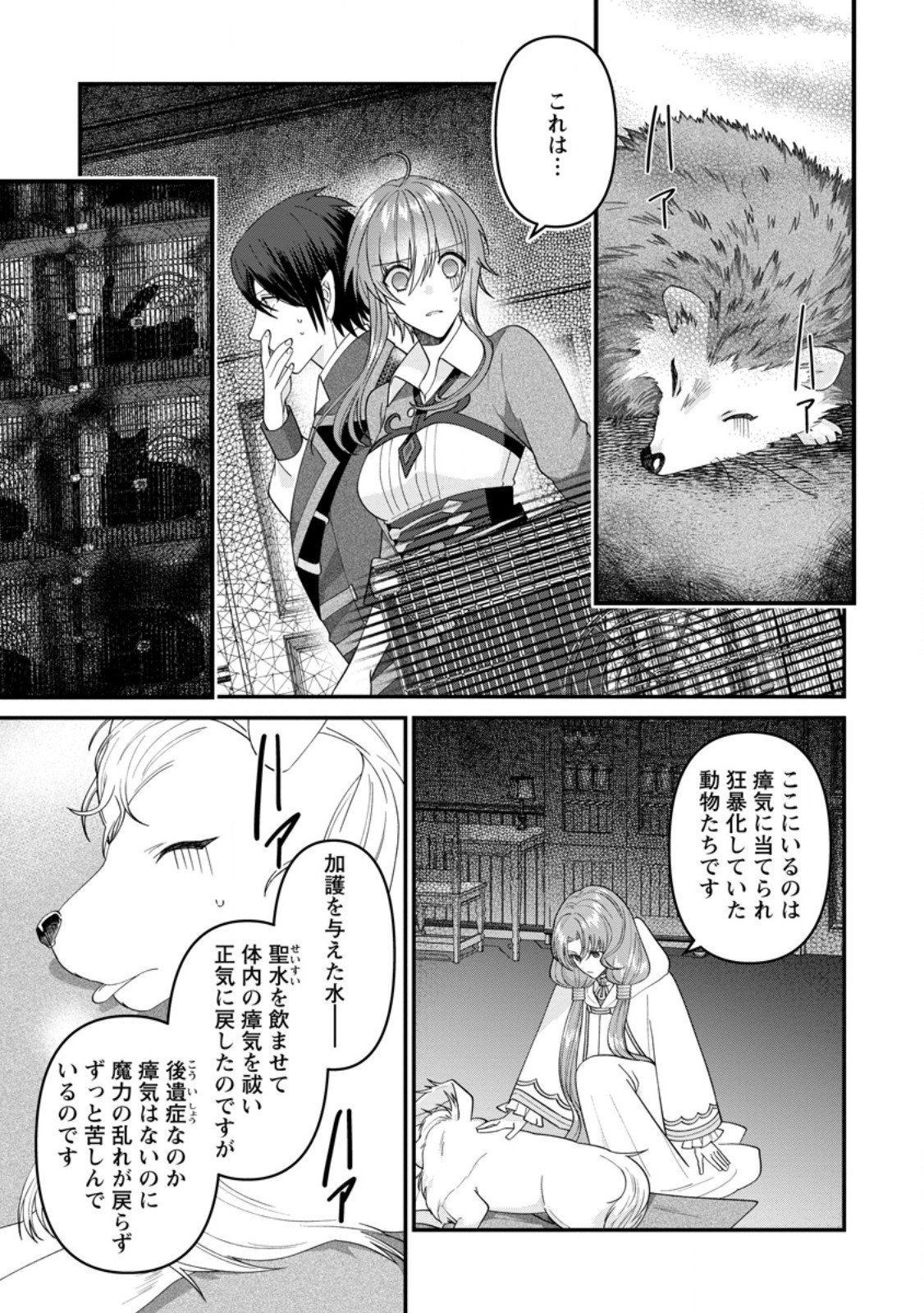 わたし、聖女じゃありませんから 第27.2話 - Page 7