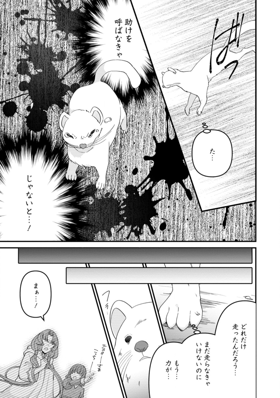 わたし、聖女じゃありませんから 第28.1話 - Page 9