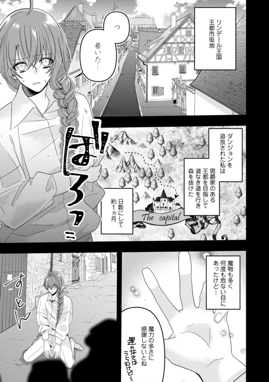 わたし、聖女じゃありませんから 第4.1話 - Page 3