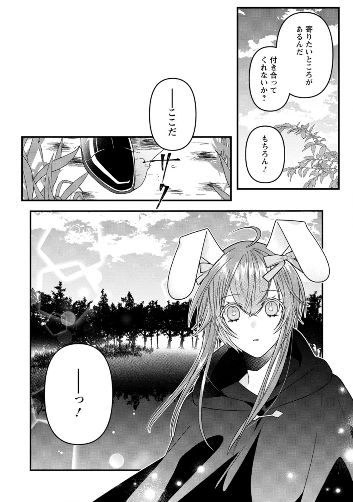 わたし、聖女じゃありませんから 第9.3話 - Page 3