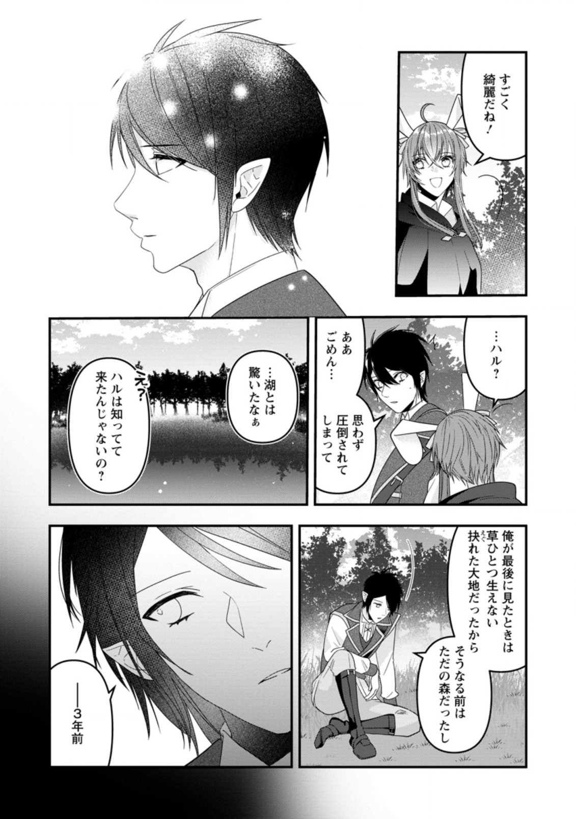 わたし、聖女じゃありませんから 第9.3話 - Page 4