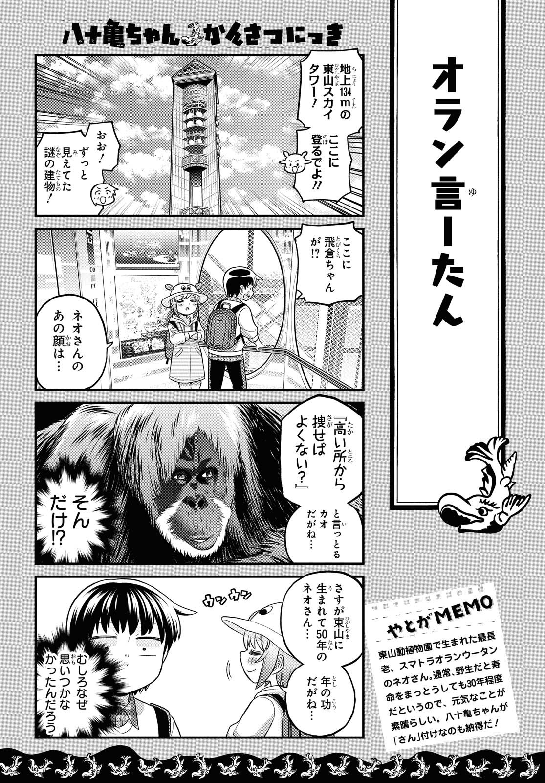 八十亀ちゃんかんさつにっき 第55話 - Page 17