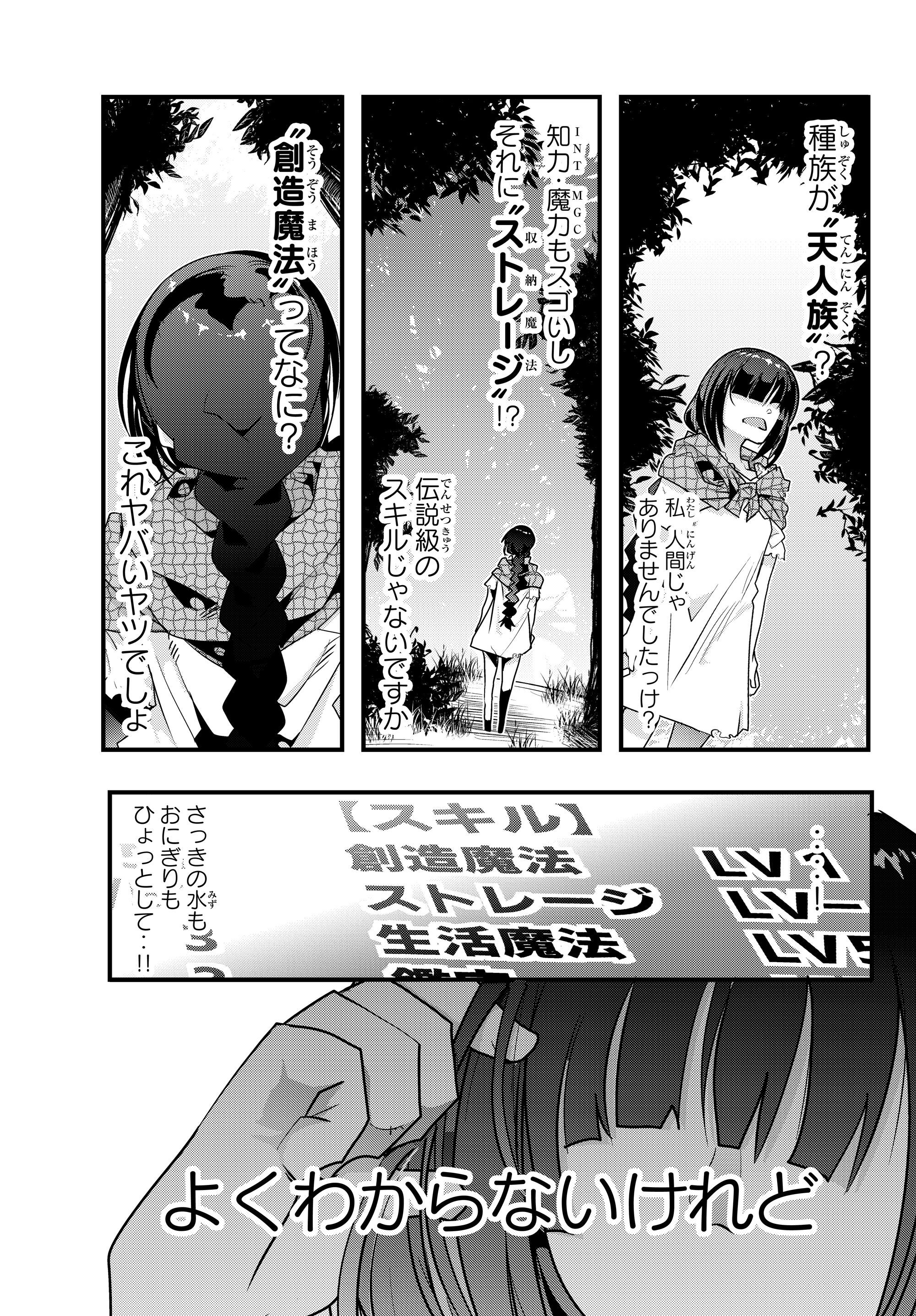 よくわからないけれど異世界に転生していたようです 第1話 - Page 39