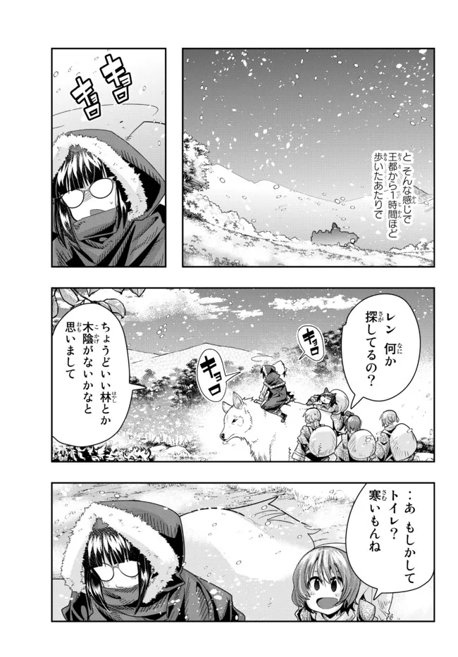 よくわからないけれど異世界に転生していたようです 第66.1話 - Page 13