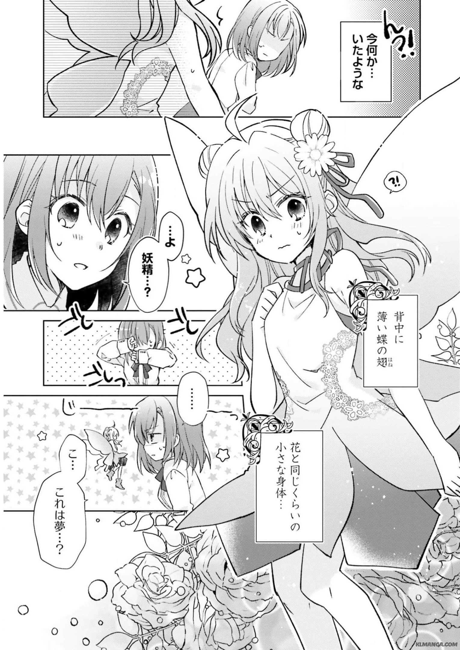 Fairy Pharmacy Youseijirushi no Kusuriya-san 妖精印の薬屋さん 第1話 - Page 10