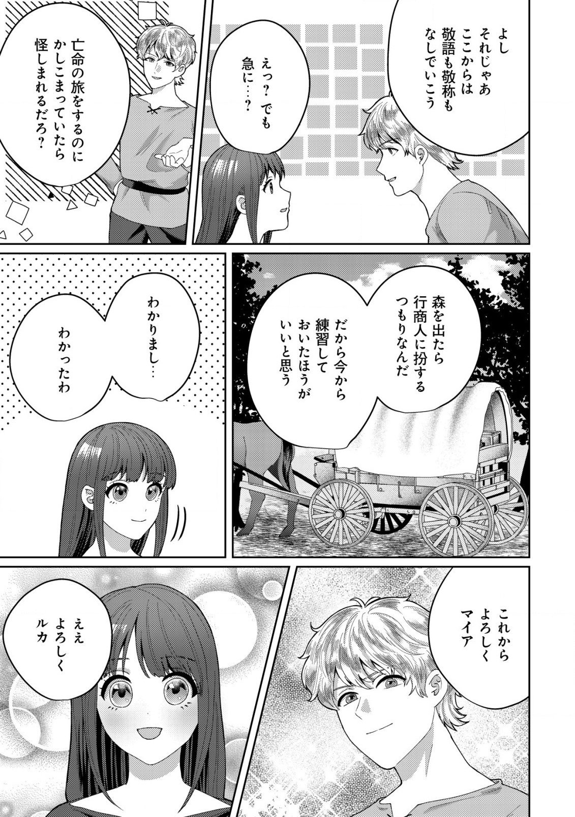 雑草聖女の逃亡～隣国の魔術師と偽夫婦になって亡命します～ 第3.2話 - Page 12