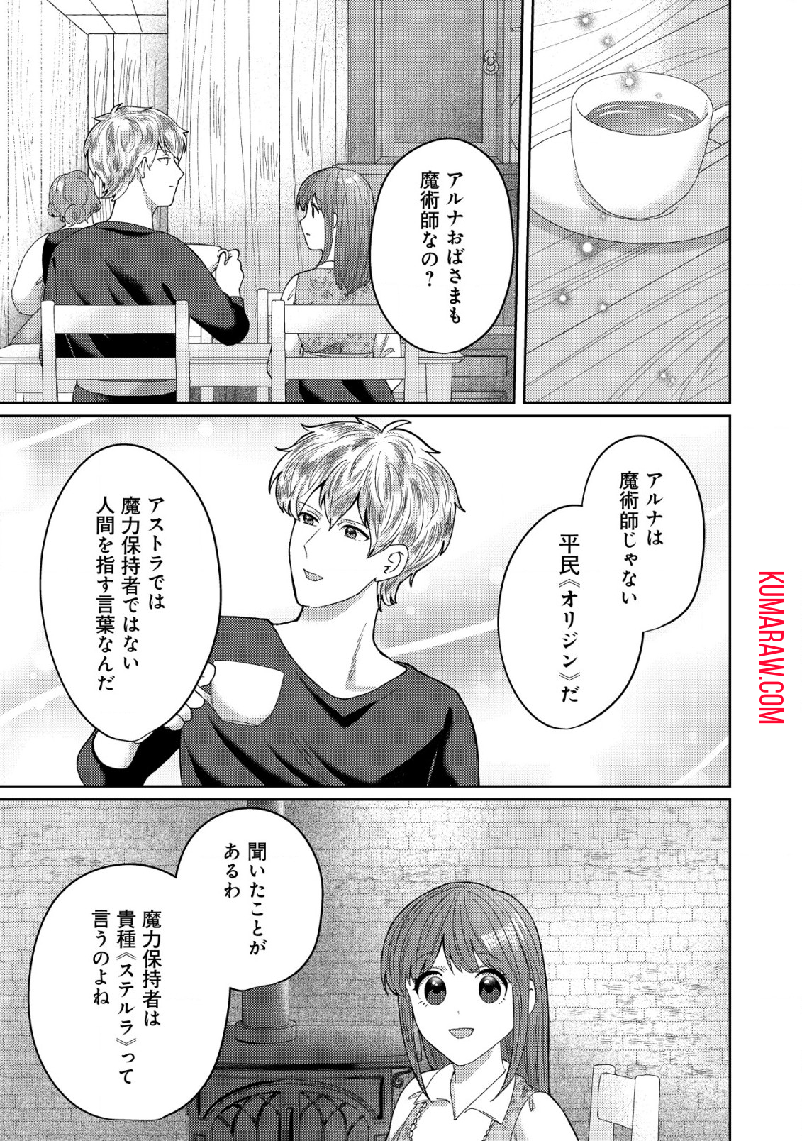 雑草聖女の逃亡～隣国の魔術師と偽夫婦になって亡命します～ 第6.2話 - Page 4