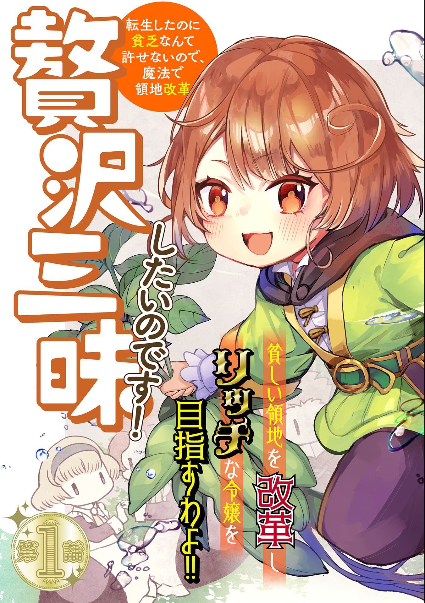 贅沢三昧したいのです！　転生したのに貧乏なんて許せないので、魔法で領地改革 第1話 - Page 5