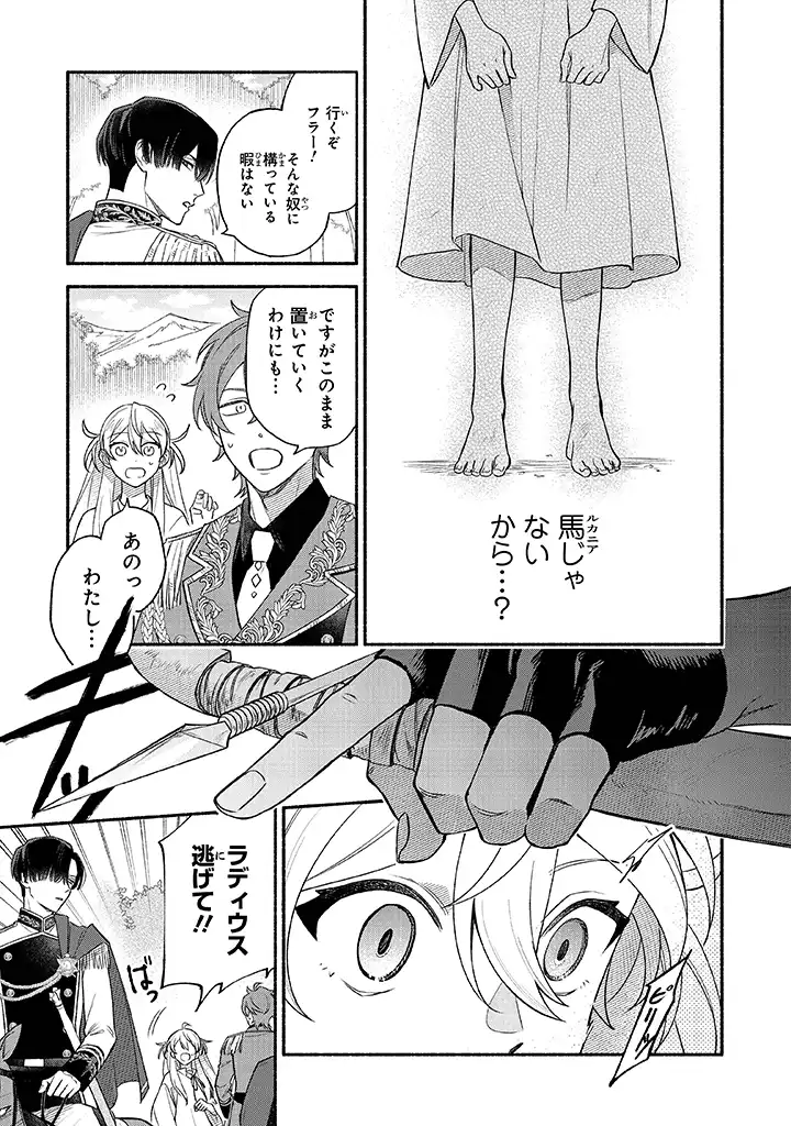 前世冷徹王子の馬でした～人になっても貴方を愛していいですか？～ 第1話 - Page 17